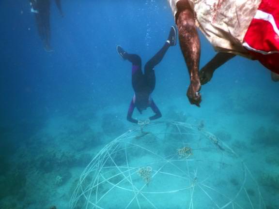 vanuatu-workshop10