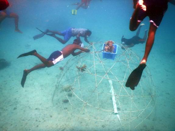 vanuatu-workshop11