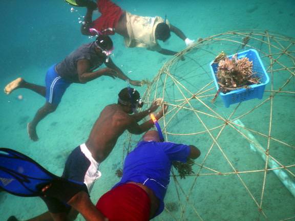 vanuatu-workshop12