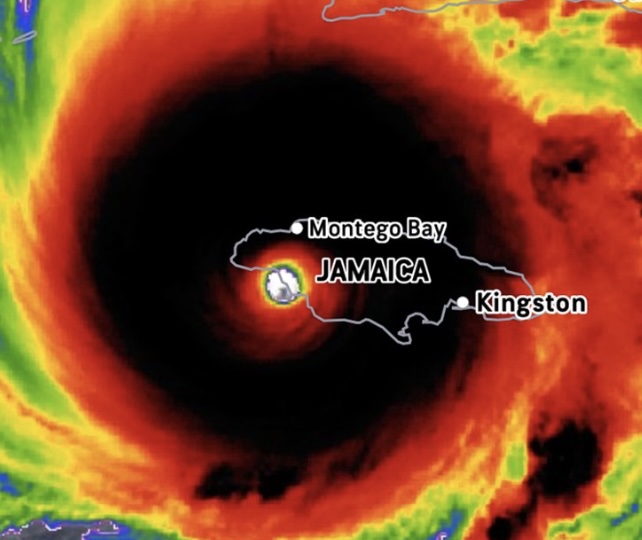 Jamaica Coastal Ecosystem Regeneration